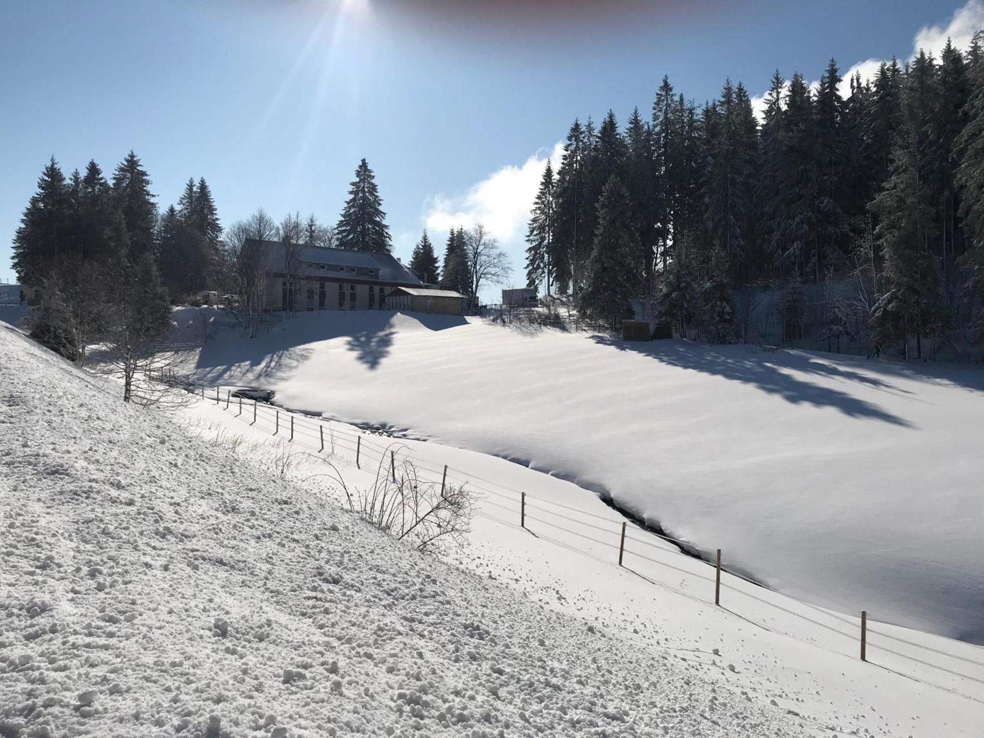 Waldhotel Auerhahn "Hochkopfhaus" Todtnau Esterno foto