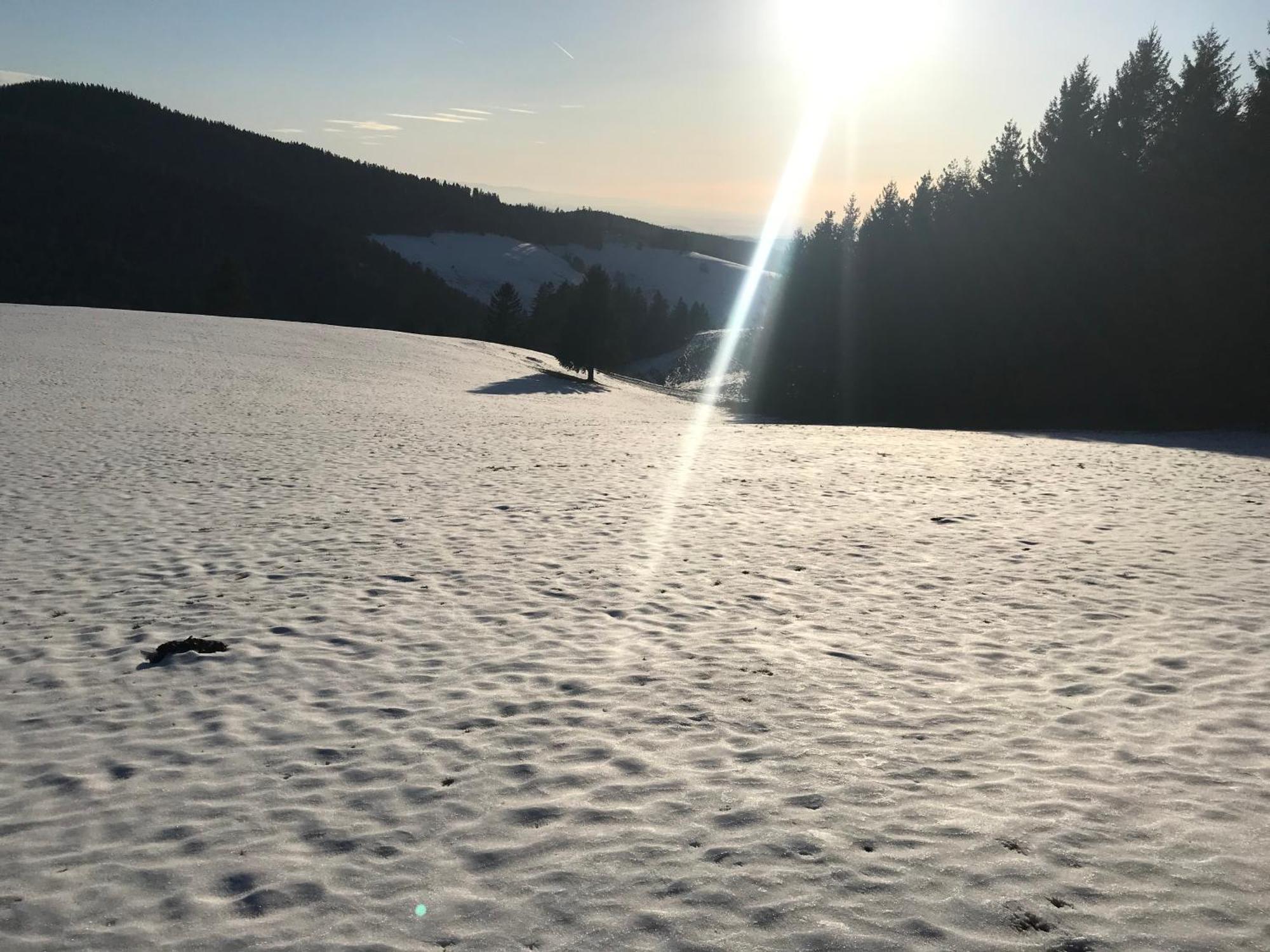 Waldhotel Auerhahn "Hochkopfhaus" Todtnau Esterno foto